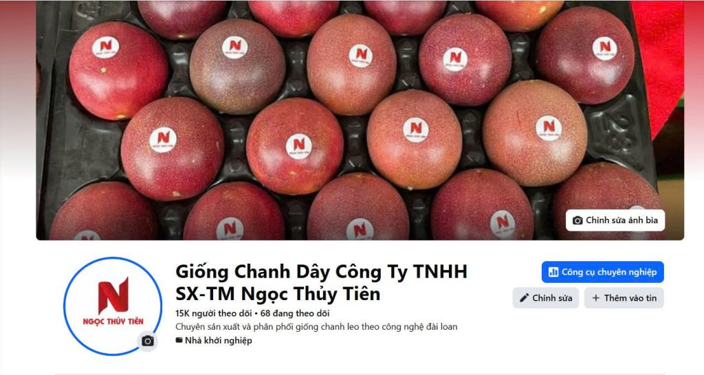 Chanh-day-Ngoc-Thuy-Tien
