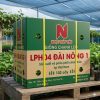 Giống Chanh Dây Đài Nông 1