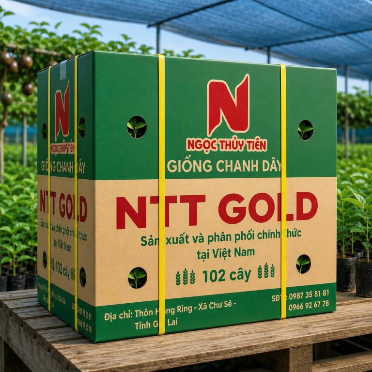 Giống Chanh Dây NTT GOLD