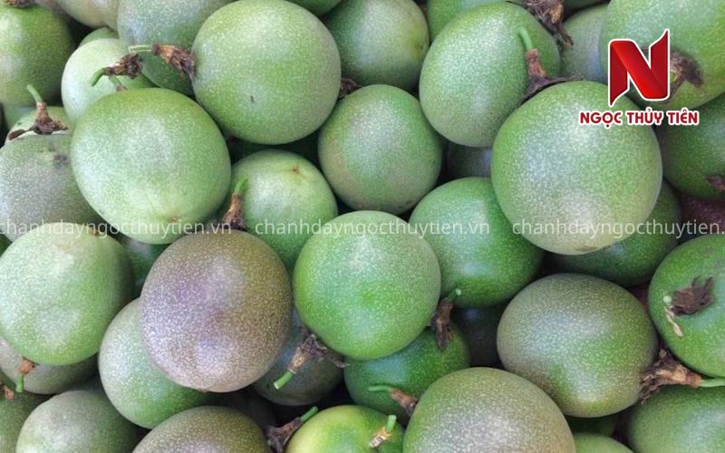 Chanh Dây Có Mấy Loại? Chanh Dây Tím Hay Chanh Dây Vàng Cho Năng Suất Và Hiệu Quả Kinh Tế Cao Hơn?