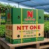 Giống Chanh Dây NTT ONE