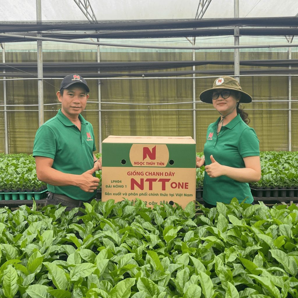 Giống chanh dây NTT ONE tại nhà màng Ngọc Thủy Tiên