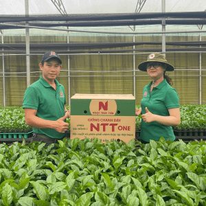 Giống Chanh Dây NTT ONE