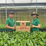 Vườn giống Chanh Dây Ngọc Thuỷ Tiên Gia Lai