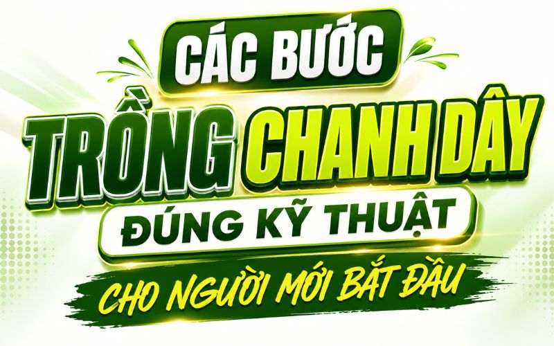 Các Bước Trồng Chanh Dây Đúng Kỹ Thuật Cho Người Mới Bắt Đầu