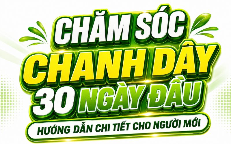 Chăm Sóc Chanh Dây 30 Ngày Đầu: Hướng Dẫn Chi Tiết Cho Người Mới