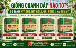 Giống Chanh Dây Nào Tốt? So Sánh NTT ONE, NTT GOLD, Đài Nông 1 Và Summit