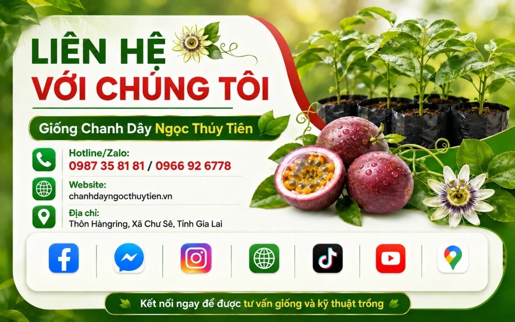 lien he voi chung toi